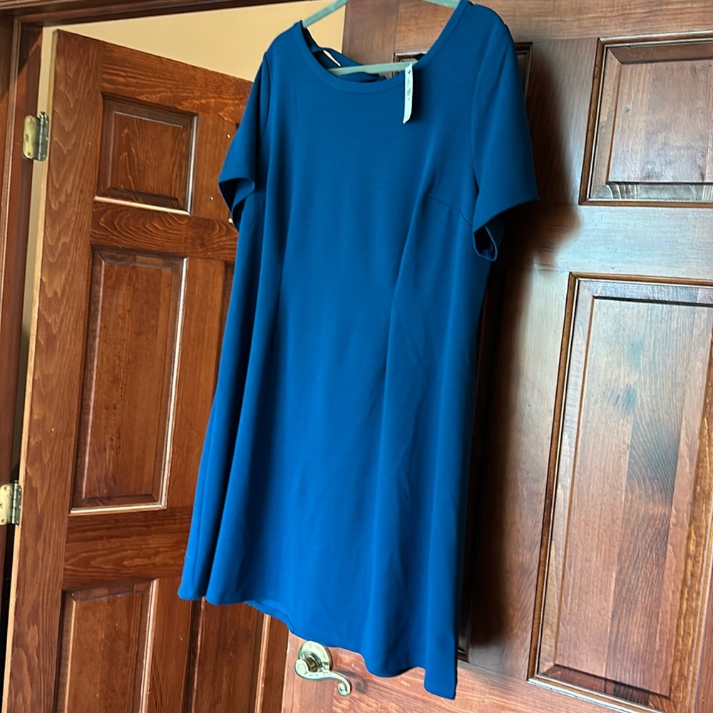 NWT a-line plus sized dress